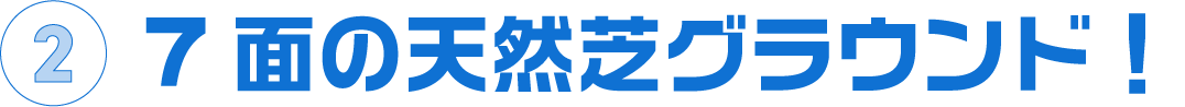 7面の天然芝グラウンド！